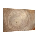 LAVAGNA IN VETRO MAGNETICA CON STAMPA MOTIVO ANELLI ALBERO 60X40