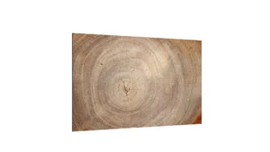 LAVAGNA IN VETRO MAGNETICA CON STAMPA MOTIVO ANELLI ALBERO 60X40