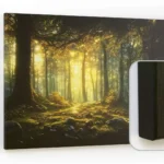 Lavagna magnetica CANVASboards 90x60cm - Foresta Incantata